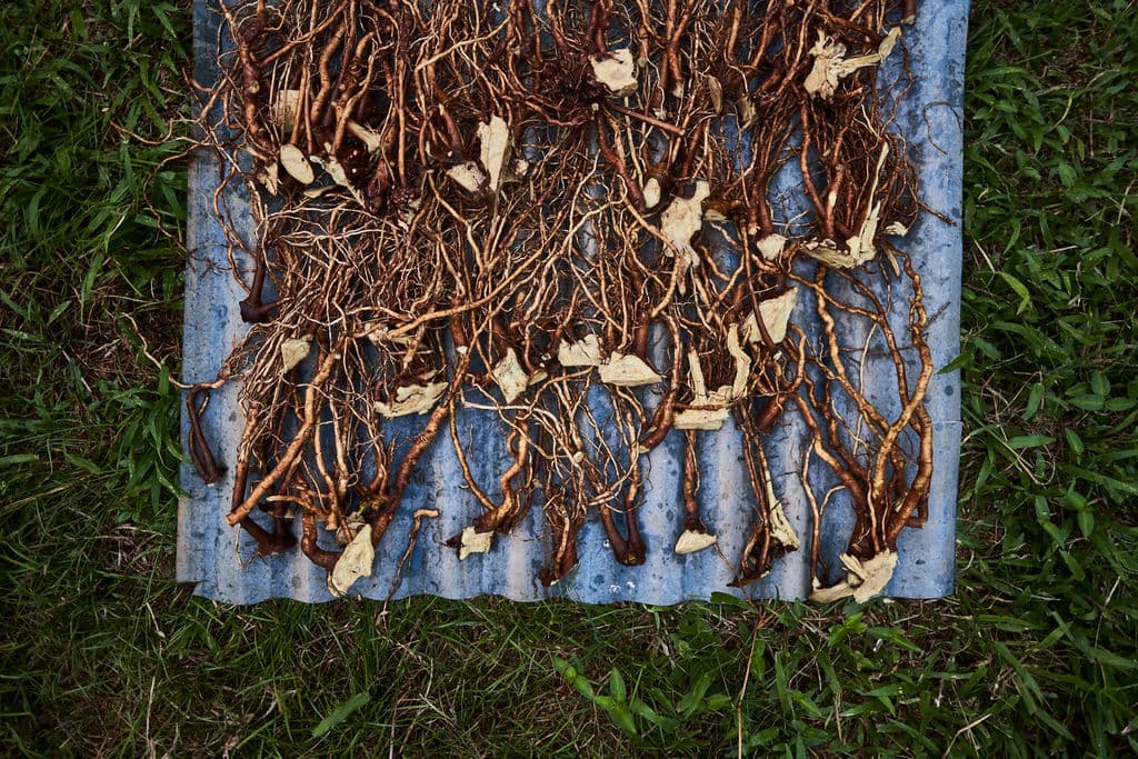 Dried lavender and chamomile bundles bound in linen, soft natural light