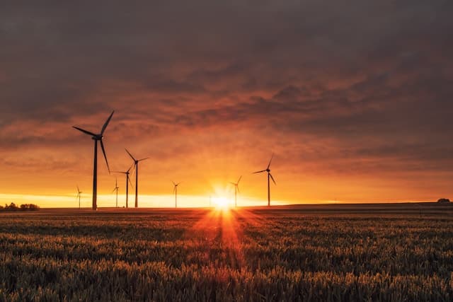 Carbon-Neutral Logistics: Our Roadmap to 2030